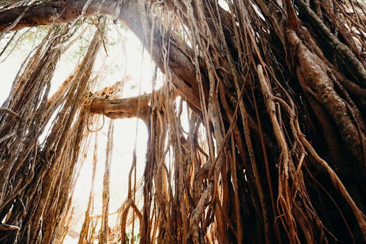 Exploring Madiun: From Majapahit Roots to Modern Metropolis