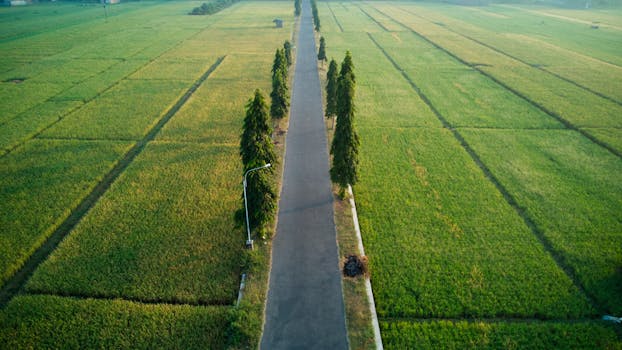 Explore Madiun: A Cultural Gem in East Java with Rich History and Vibrant Festivals