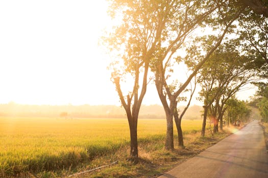 Explore Madiun's Rich Culture and Thriving Local Businesses in East Java