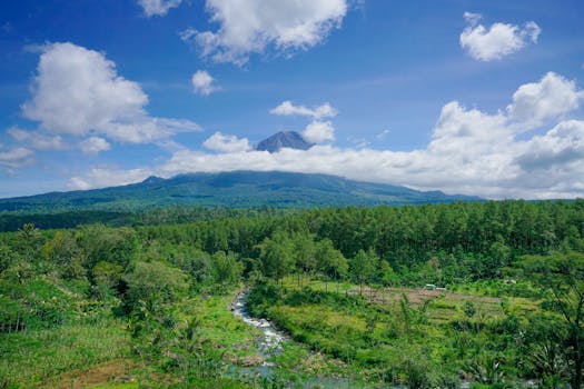 Exploring Madiun: A Guide to Hiking and Nature Spots in East Java